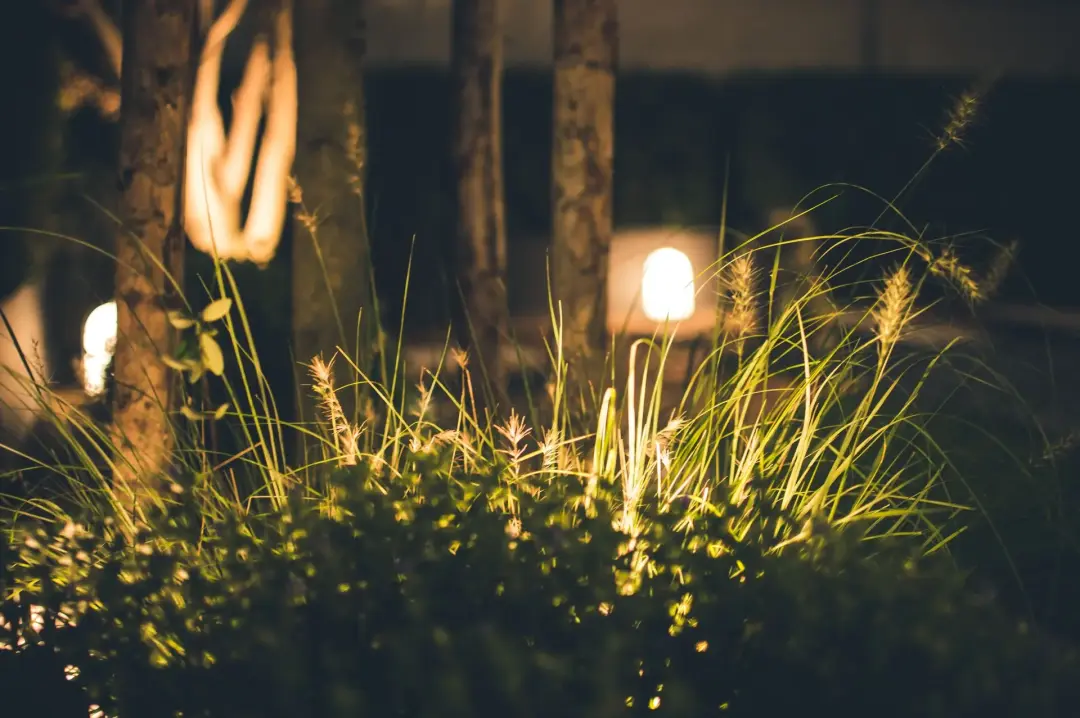 Garden Lighting Electrician Blackburn Preston Fylde Coast